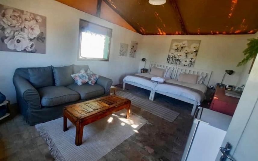 Daureb Isib Campsite And B&B Uis Ngoại thất bức ảnh